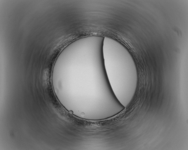 X0000114090594200910051211