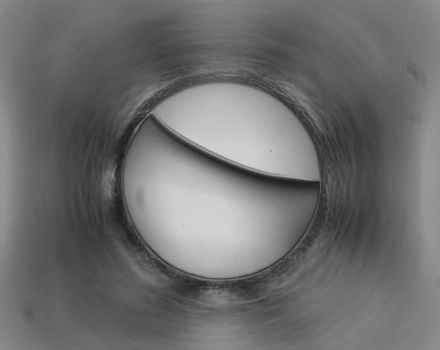 X0000114090596200910051211