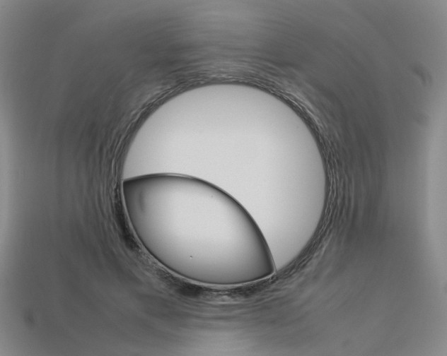 X0000114090597200910051211