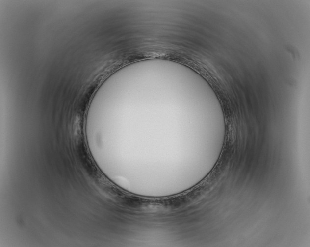 X0000114090598200910051211