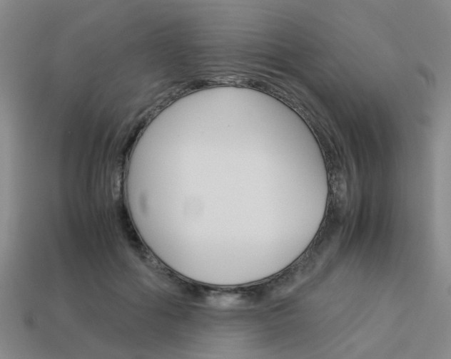 X0000114090602200910051211
