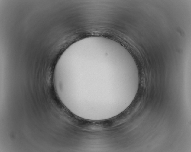 X0000114090604200910051211