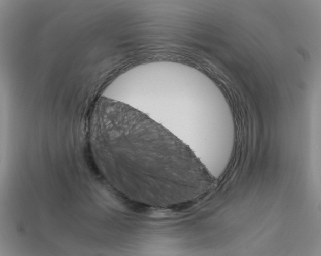 X0000114090605200910051211