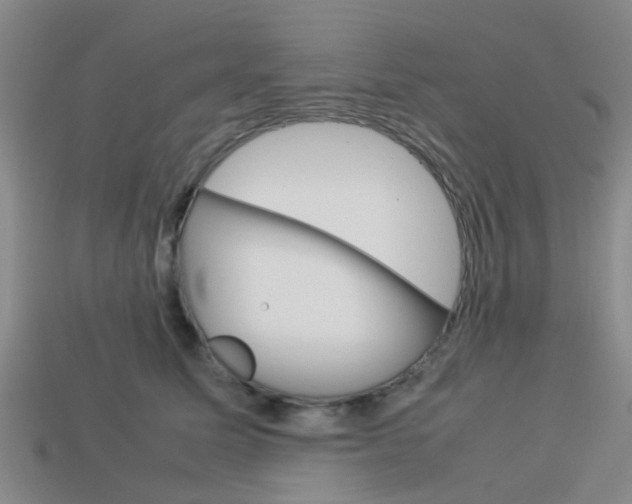 X0000114090611200910051211