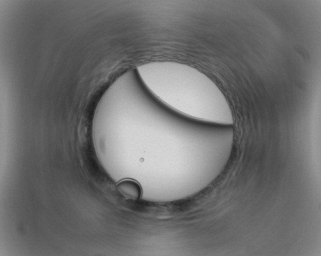 X0000114090615200910051211