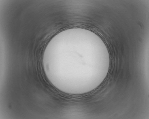 X0000114090617200910051211