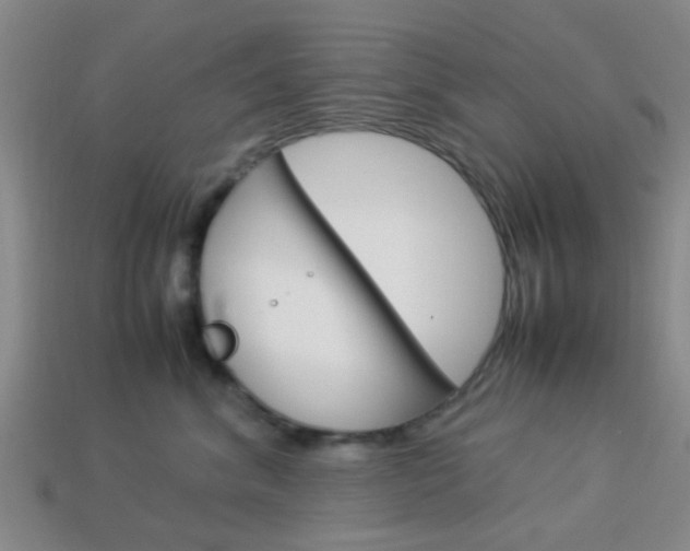 X0000114090620200910051211