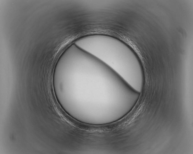 X0000114090625200910051210