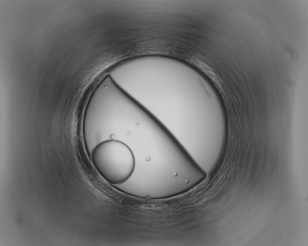 X0000114090627200910051210