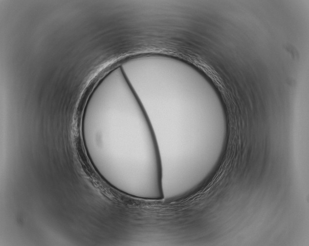 X0000114090628200910051210