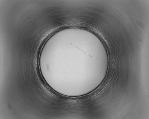 X0000114090629200910051211