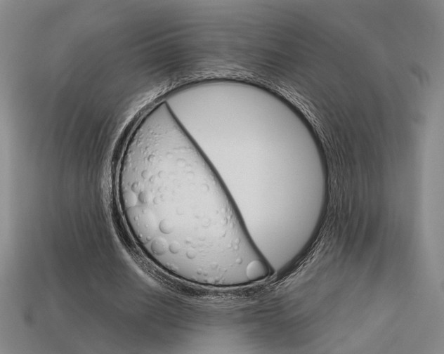 X0000114090630200910051211
