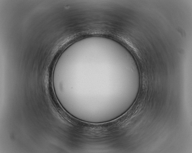 X0000114090631200910051211