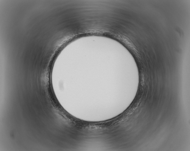 X0000114090632200910051211