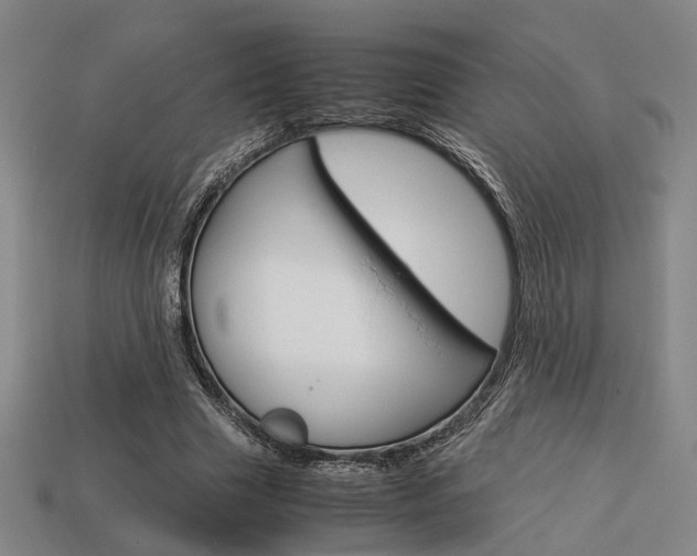 X0000114090633200910051211