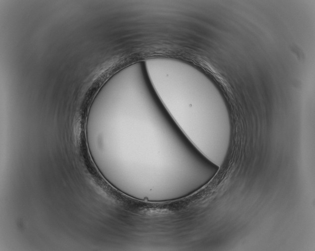 X0000114090637200910051211