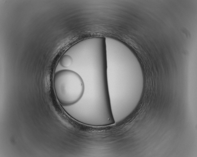 X0000114090638200910051211