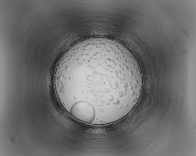 X0000114090639200910051211