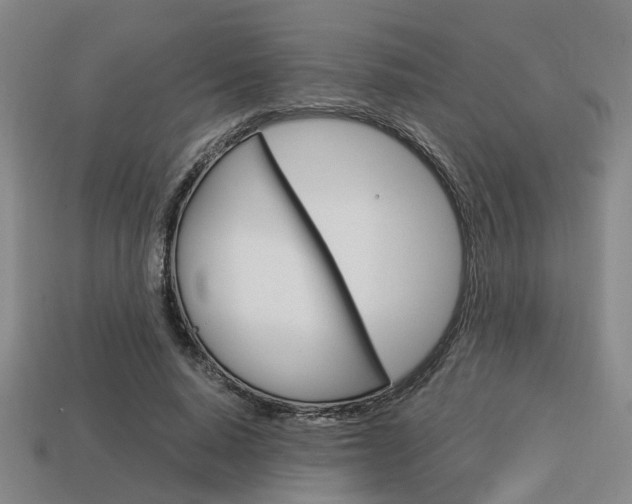 X0000114090640200910051211