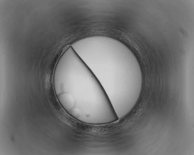 X0000114090641200910051211