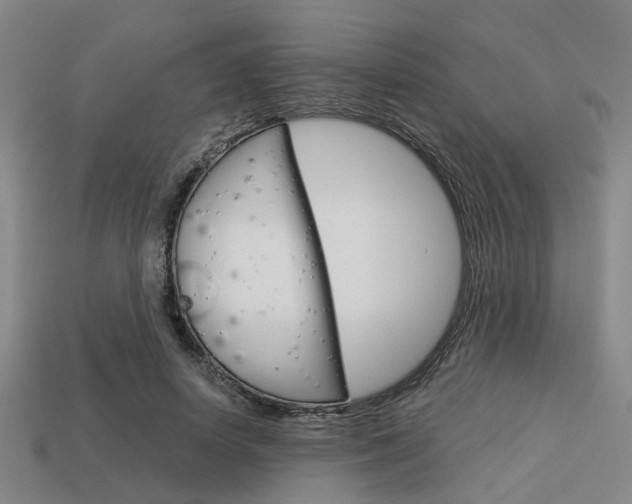 X0000114090642200910051211