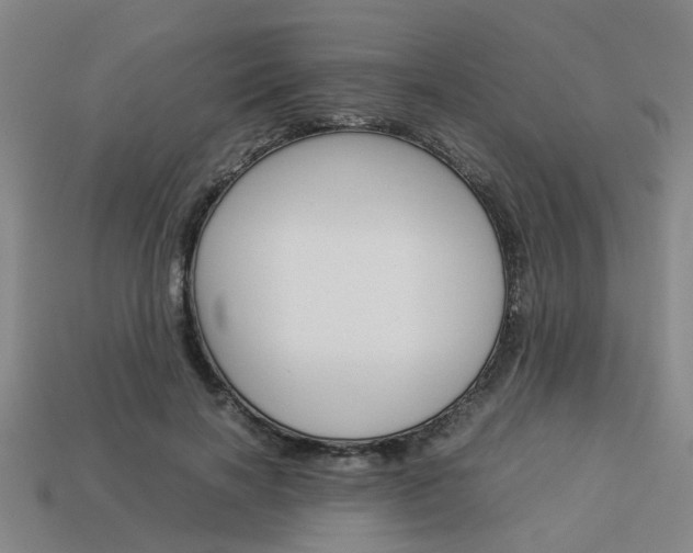 X0000114090646200910051211