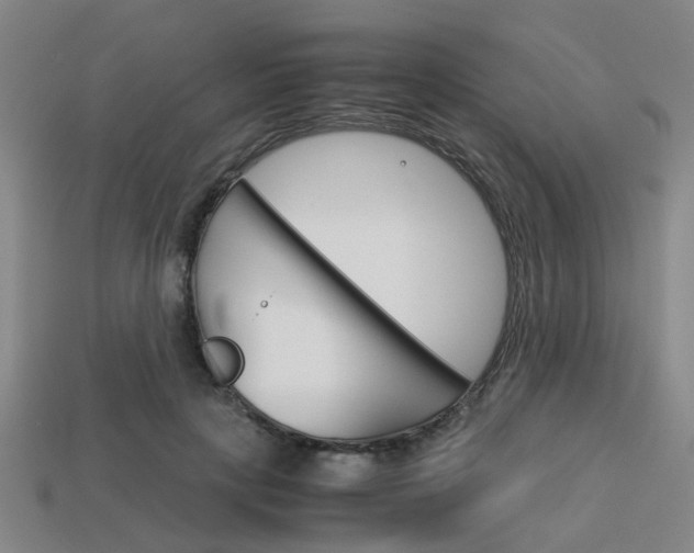 X0000114090649200910051211