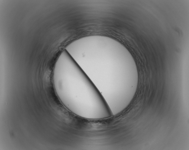 X0000114090650200910051211