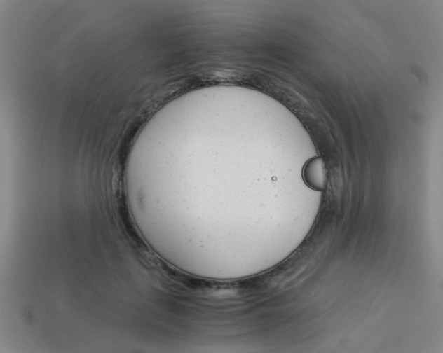 X0000114090651200910051211
