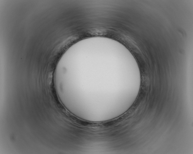 X0000114090652200910051211