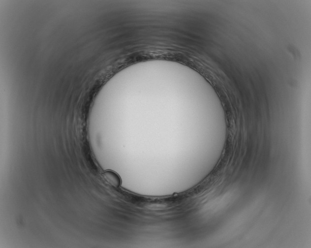 X0000114090653200910051211