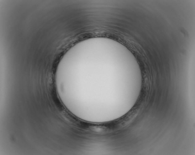 X0000114090654200910051211