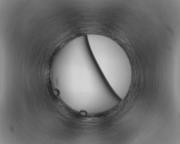 X0000114090657200910051211