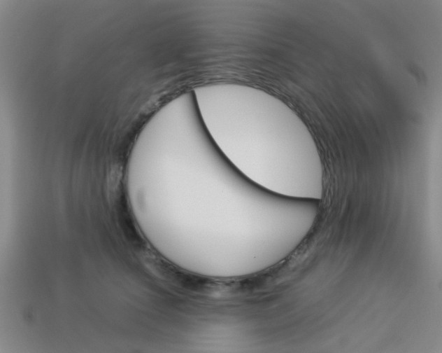 X0000114090660200910051211