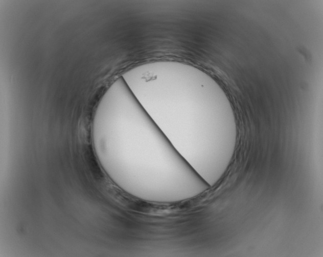 X0000114090661200910051211