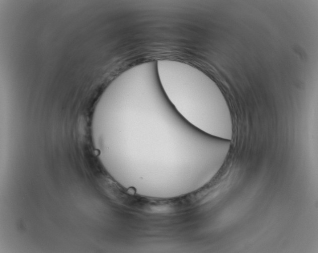 X0000114090667200910051211