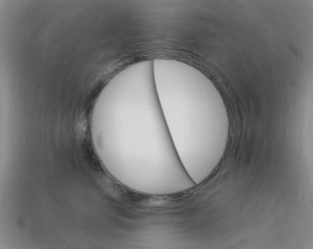 X0000114090668200910051211