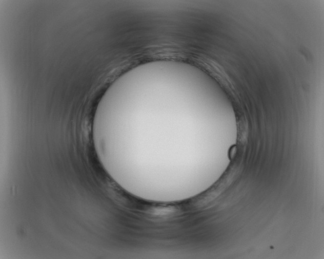 X0000114090669200910051211