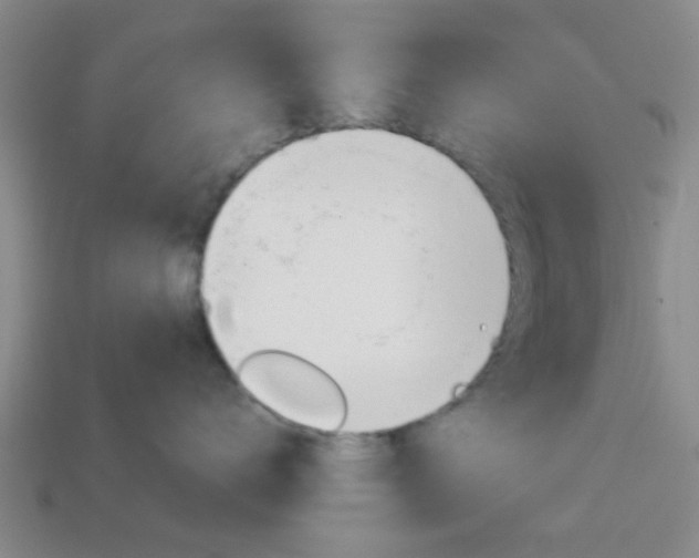 X0000114090672200910051211