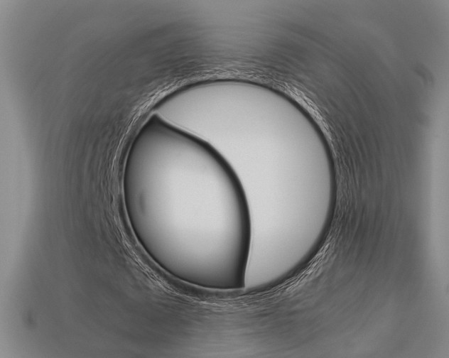 X0000114090673200910051210