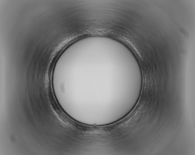 X0000114090674200910051210