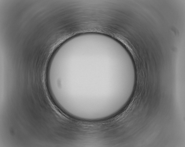 X0000114090677200910051210