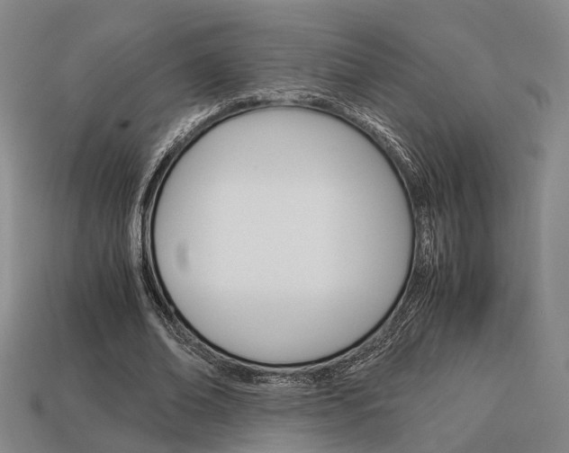 X0000114090678200910051210