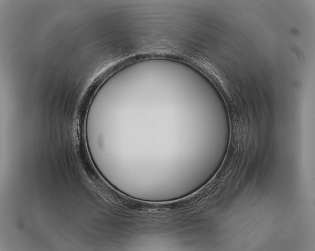 X0000114090680200910051210
