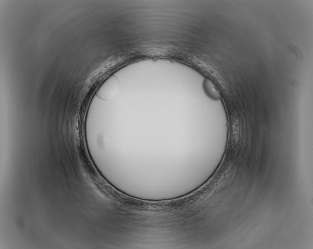 X0000114090682200910051210