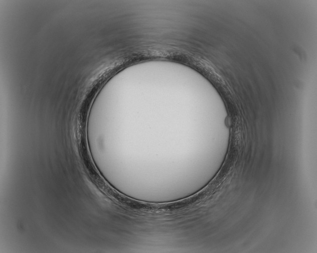 X0000114090683200910051210