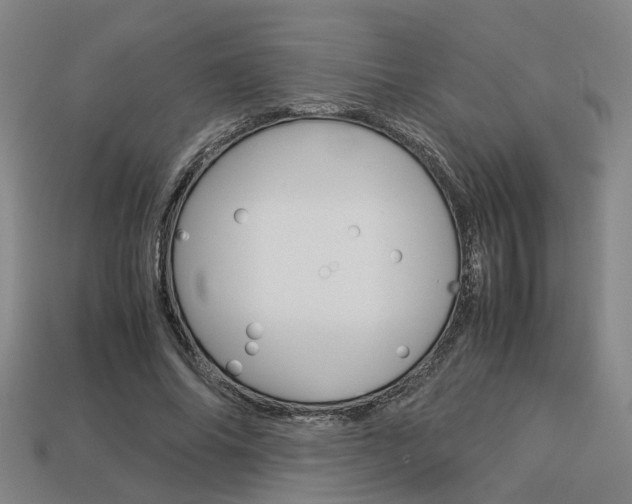 X0000114090686200910051210