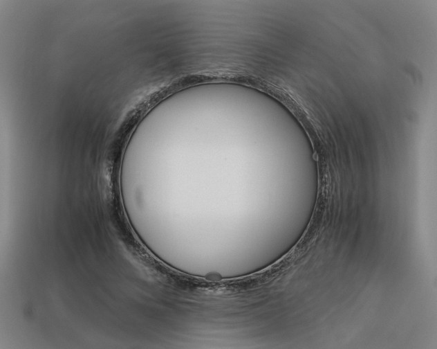 X0000114090688200910051210