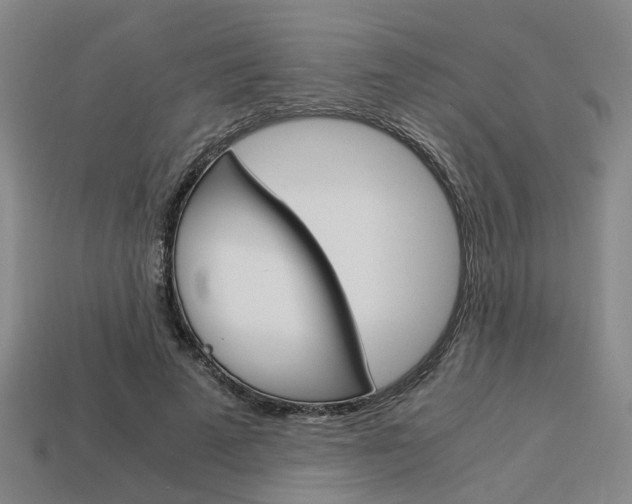 X0000114090689200910051210