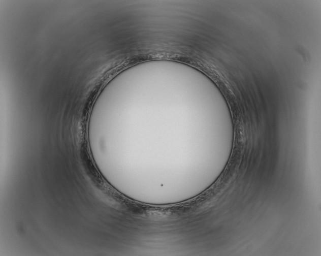 X0000114090690200910051210
